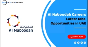 Al Naboodah Careers
