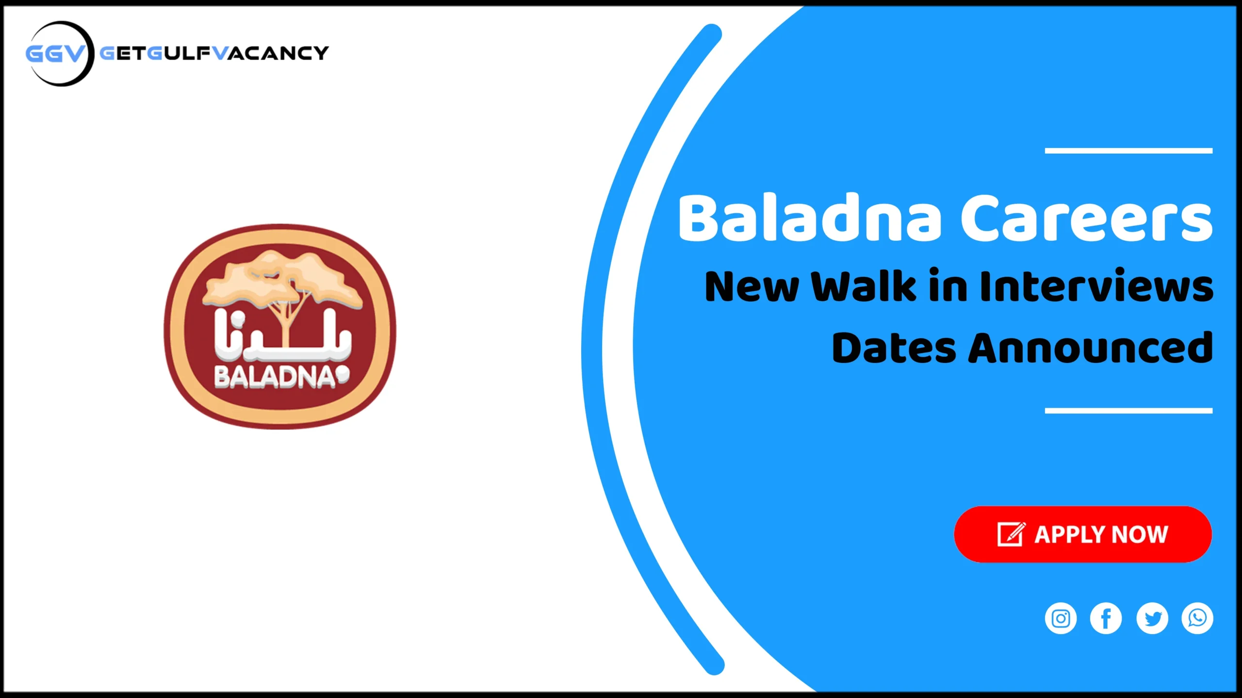 Baladna Careers