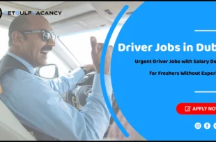 Driver Jobs in Dubai