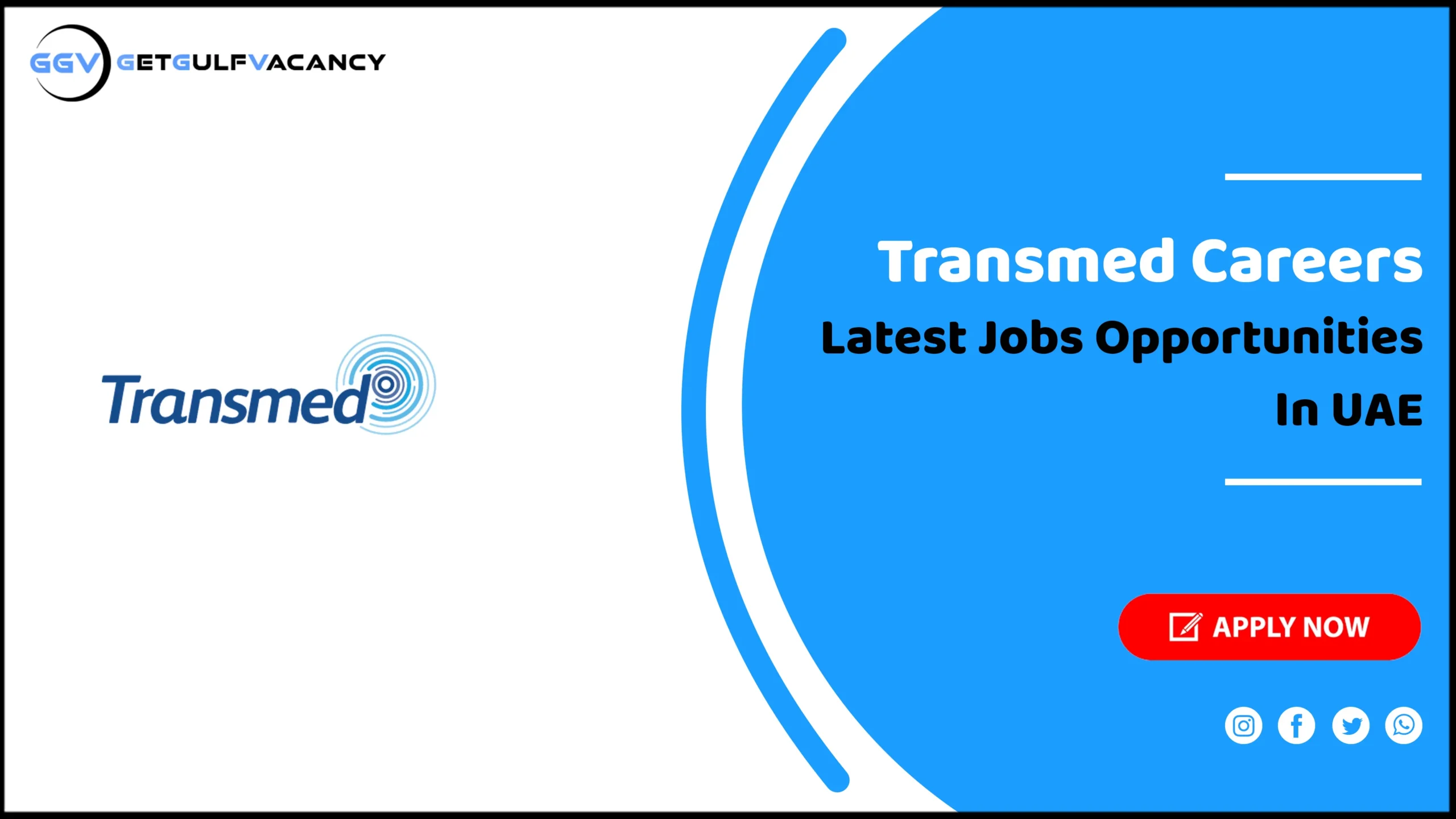 Transmed Careers