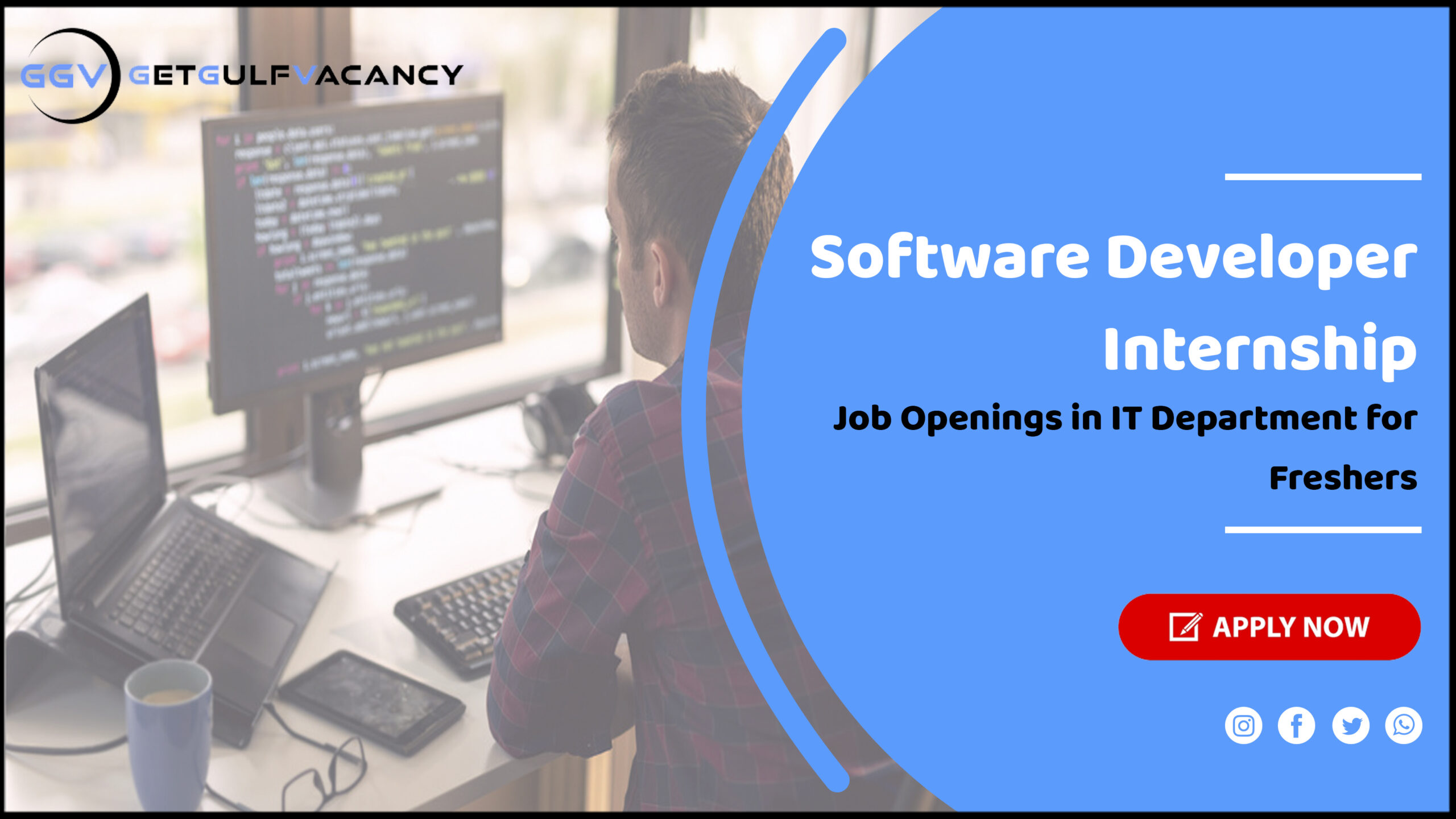 Software Developer Internship 